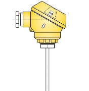 Temperature Sensor